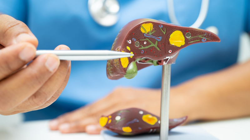 Gan nhiễm mỡ có uống được vitamin E không? Hướng dẫn sử dụng đúng cách  3