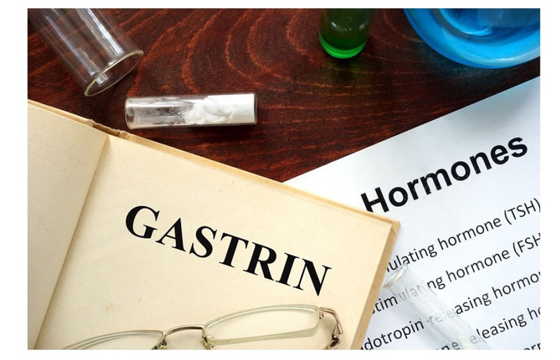 gastrin-hormone-la-gi-vai-tro-cua-gastrin-hormone 1.jpg