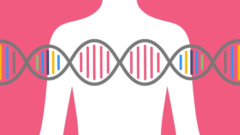 Gen BRCA là gì? Gen BRCA có liên quan gì đến bệnh ung thư vú và các cơ quan khác? 1