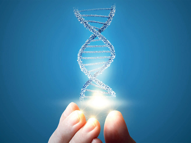 Gen di truyền là gì? Đột biến gen có lợi hay có hại? 1