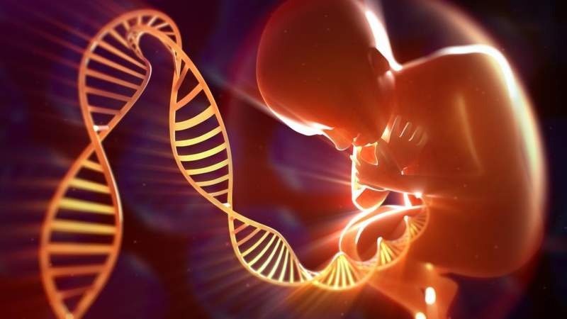 Gen di truyền là gì? Đột biến gen có lợi hay có hại? 4