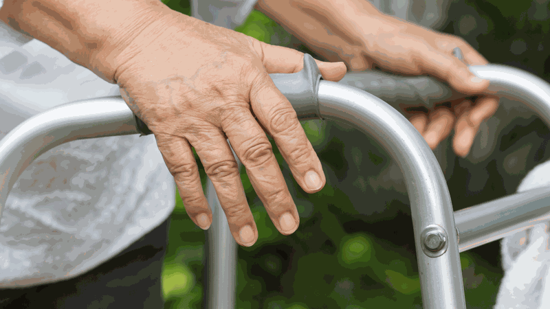 Ghép gân đồng loại là gì? Những thông tin cần biết 2