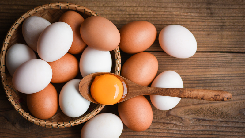 2. Hàm lượng dinh dưỡng trong trứng