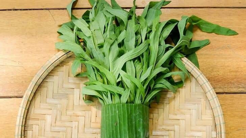 giai-dap-la-bo-cong-anh-co-nau-canh-duoc-khong-1