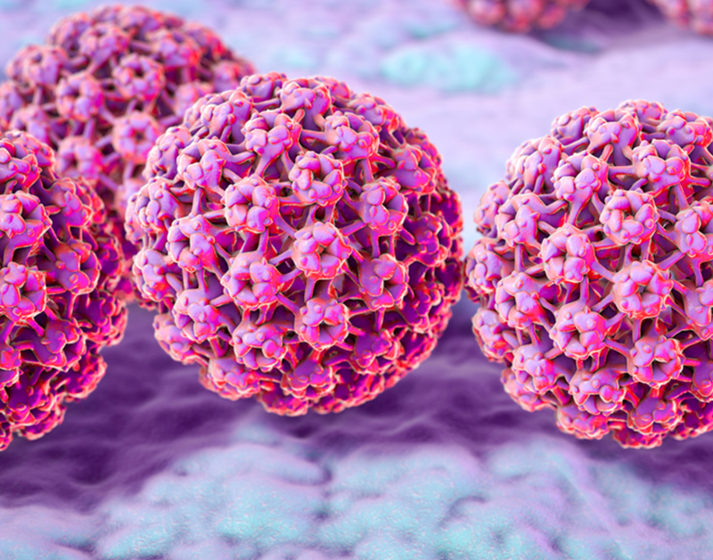 Các chủng virus HPV và khả năng phòng ngừa của vắc xin