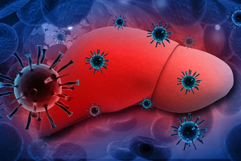 Giải đáp thắc mắc: Nồng độ virus viêm gan B bao nhiêu là cao?