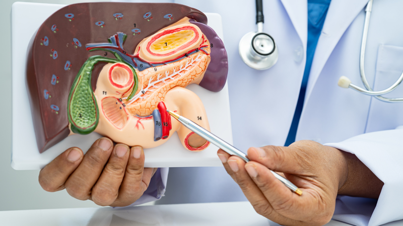 Giải đáp thắc mắc về tuổi thọ của người cắt túi mật 1