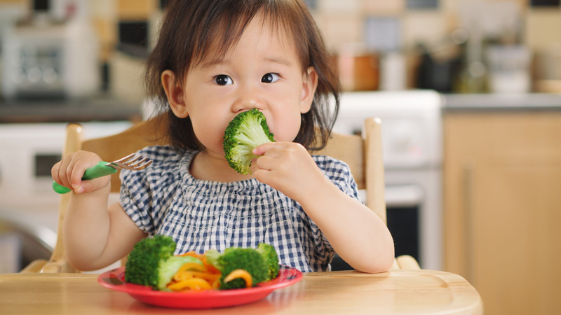 Giai đoạn vàng để dạy con thông thái bố mẹ nên biết