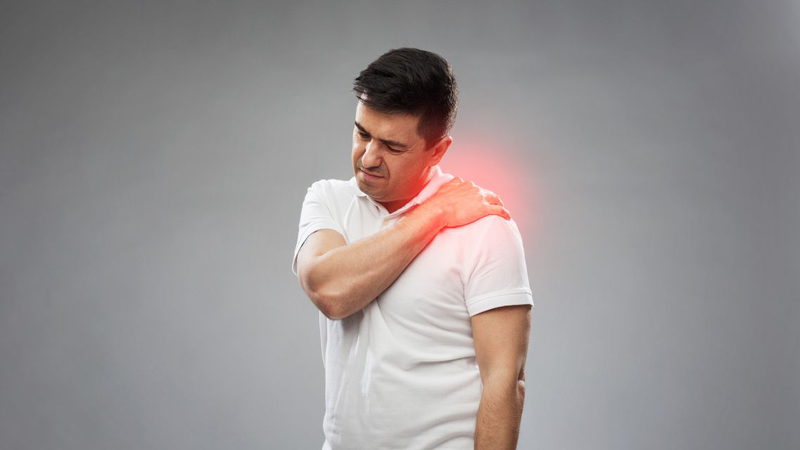 Giải phẫu cơ vai: Cấu tạo, chức năng và những điều cần biết 2