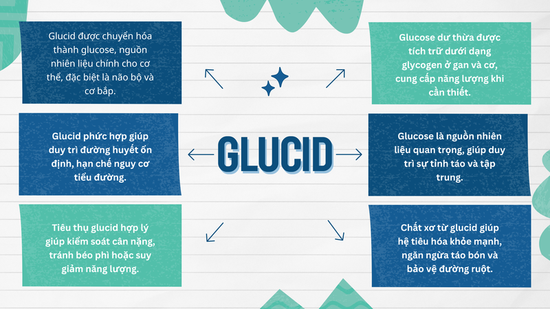 Glucid là gì? Phân loại và chức năng không thể bỏ qua 8