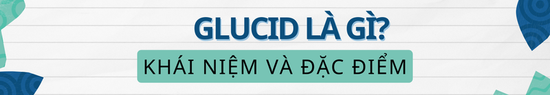 Glucid là gì? Phân loại và chức năng không thể bỏ qua 1