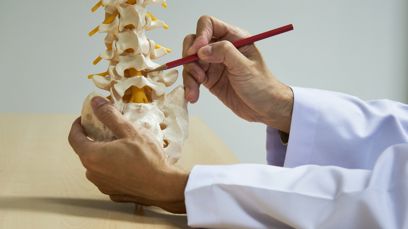 Hạnh nhân góp phần duy trì mật độ xương