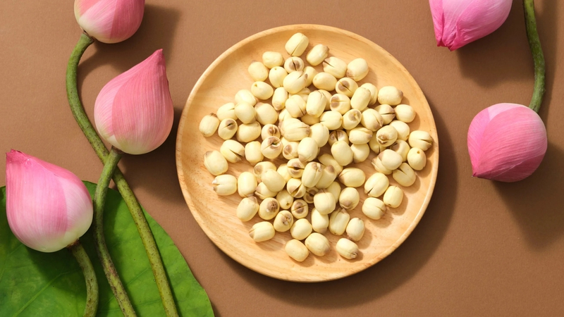 Hạt sen có giá trị dinh dưỡng cao, hỗ trợ bồi bổ sức khỏe