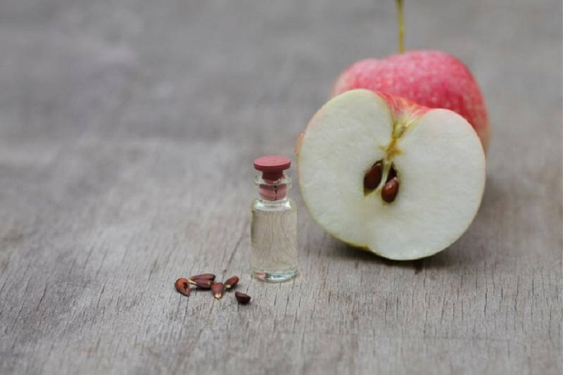 Hạt táo có độc không và những lưu ý quan trọng khi ăn táo 2