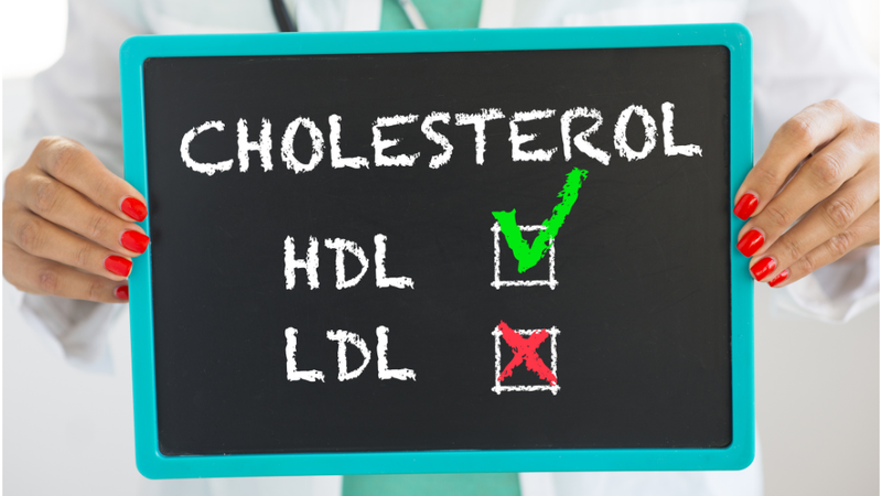 hdl-cholesterol-cao-co-nguy-hiem-khong-cac-bien-phap-de-kiem-soat-muc-hdl-cholesterol 1