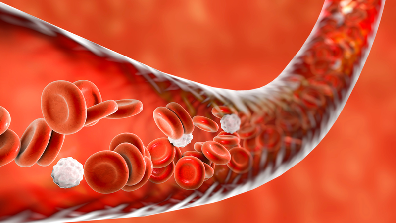 HDL cholesterol là gì và những cảnh báo sức khoẻ khi chỉ số HDL cholesterol giảm 8