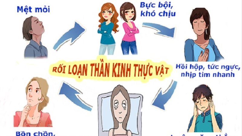 Hệ thần kinh thực vật: Cấu tạo, chức năng và bệnh lý phổ biến 4