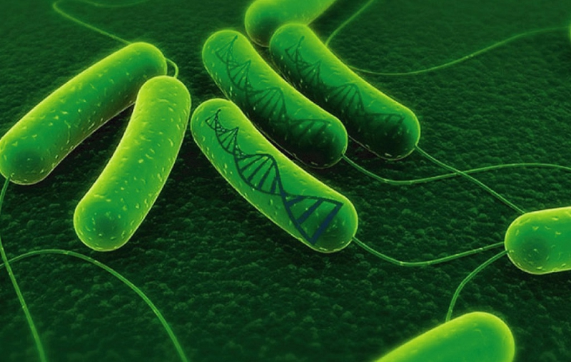 Helicobacter pylori Ag test nhanh là gì? Các phương pháp xét nghiệm phổ biến nhất 1