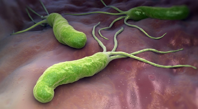 Helicobacter pylori Ag test nhanh là gì? Các phương pháp xét nghiệm phổ biến nhất 2