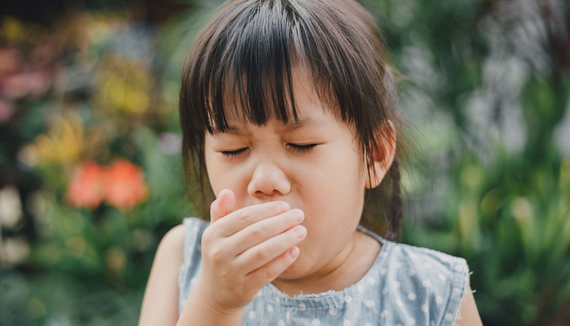 Hen phế quản ở trẻ: Nguyên nhân, triệu chứng, cách điều trị thế nào 2