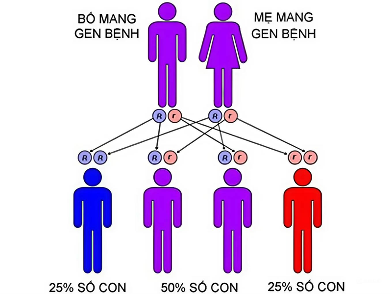 Hiện tượng vợ chồng trùng gen là gì? 2