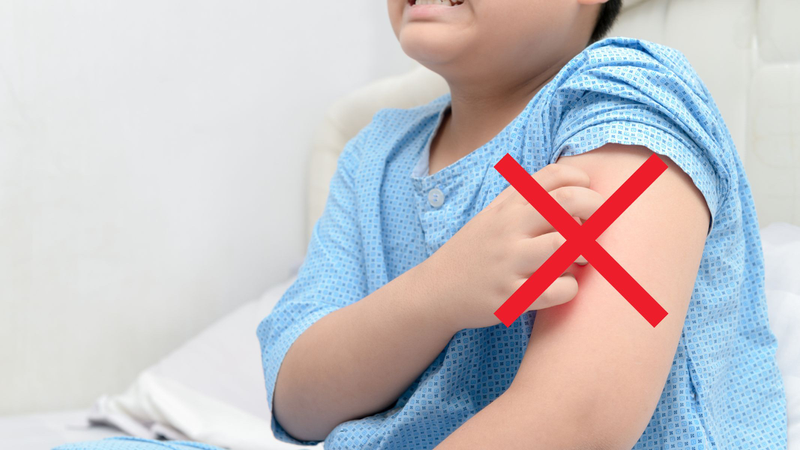 Hình ảnh sán chó và dấu hiệu nhận biết cần lưu ý 5