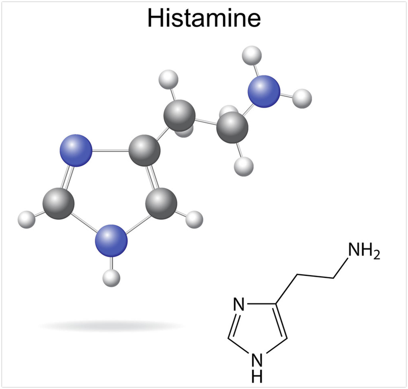 Histamin có trong thực phẩm nào? Cần lưu ý gì khi dùng thực phẩm này 1
