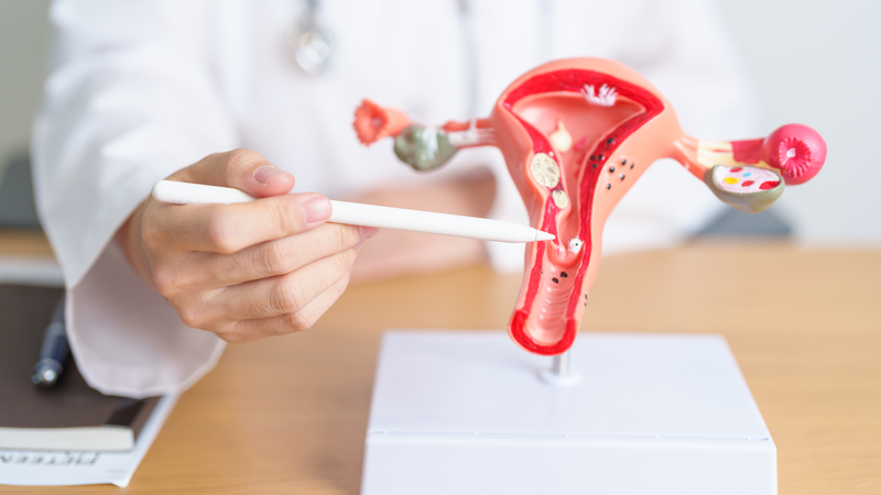 Hội chứng BPES: Hiểu rõ về đôi mắt và những ảnh hưởng 2