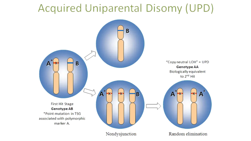 Hội chứng di truyền UPD: Hiểu rõ về tình trạng rối loạn nhiễm sắc thể 3