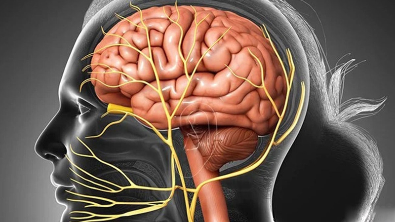 Hội chứng Moebius: Nguyên nhân, triệu chứng và cách điều trị 2