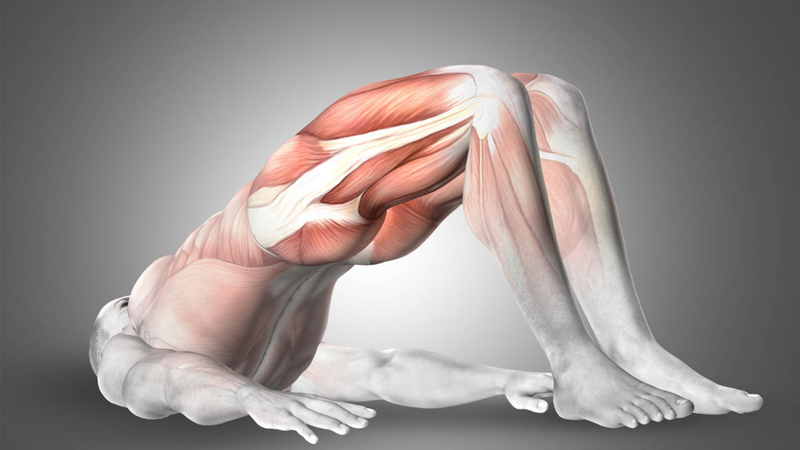  Hội chứng mông chết: Nguyên nhân, điều trị và cách phòng ngừa 6