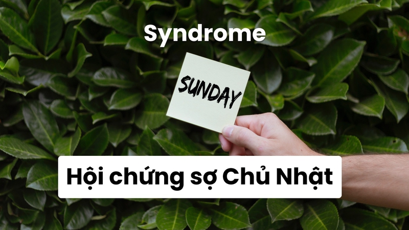 Hội Chứng Sợ Chủ Nhật (Sunday Syndrome) là gì? Nguyên nhân và cách vượt qua 1