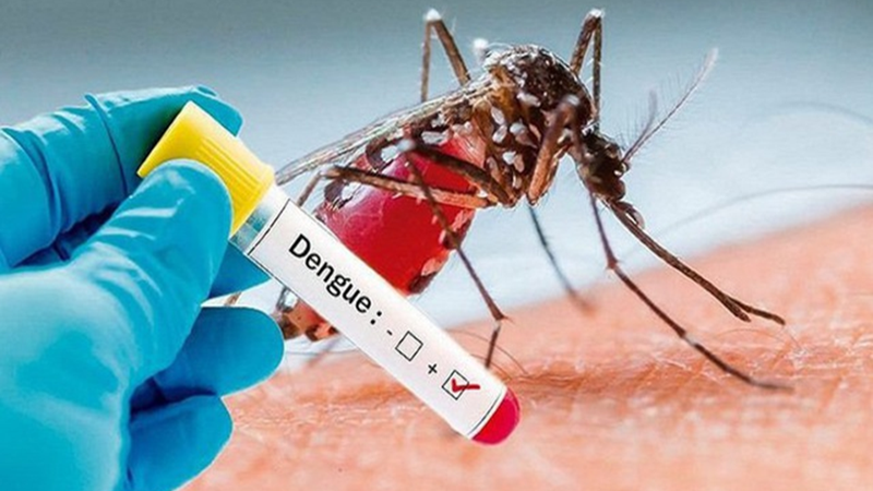Bệnh sốt xuất huyết Dengue: Giải đáp các câu hỏi thường gặp cùng chuyên gia 3