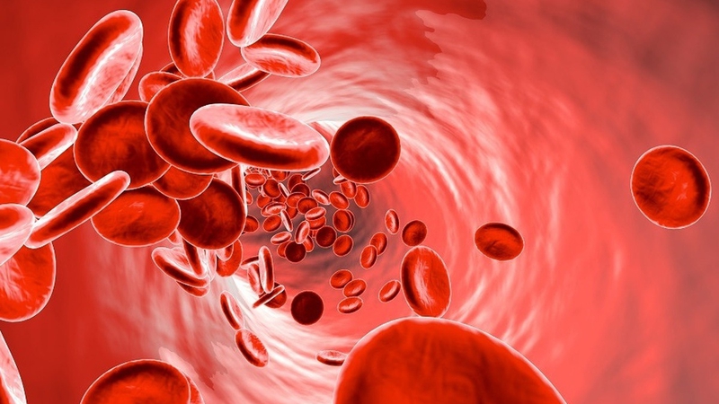 Hỏi đáp cùng chuyên gia: Tại sao viêm khớp dạng thấp gây thiếu máu? 1
