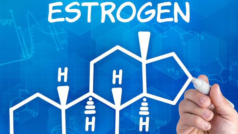 Hormone Estrogen: Vai trò và tác dụng đối với cơ thể con người 1