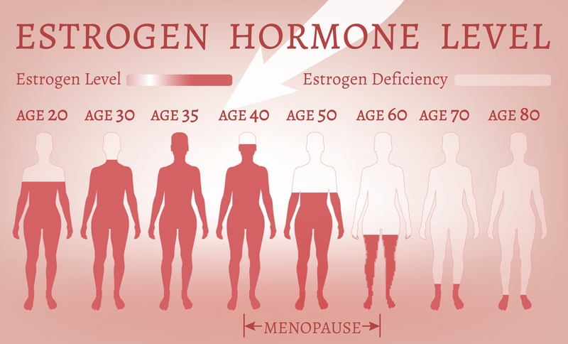Hormone Estrogen là gì? Estrogen có tác dụng gì? 2