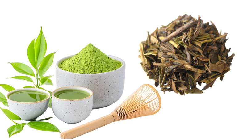 Houjicha và Matcha đều là những loại trà truyền thống của Nhật Bản