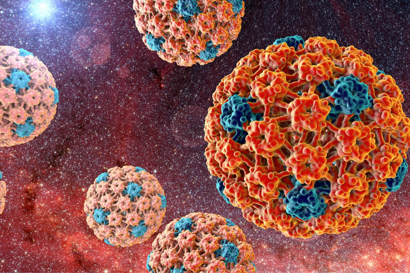 HPV 31 là gì? Cách phòng ngừa virus HPV type 31 2