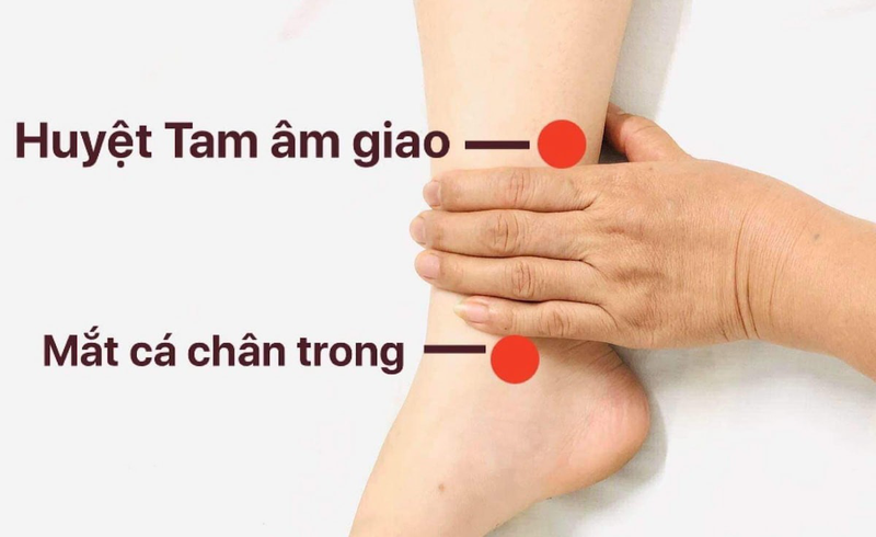 Huyệt chiếu hải có vị trí và công dụng đối với sức khoẻ như thế nào? 4