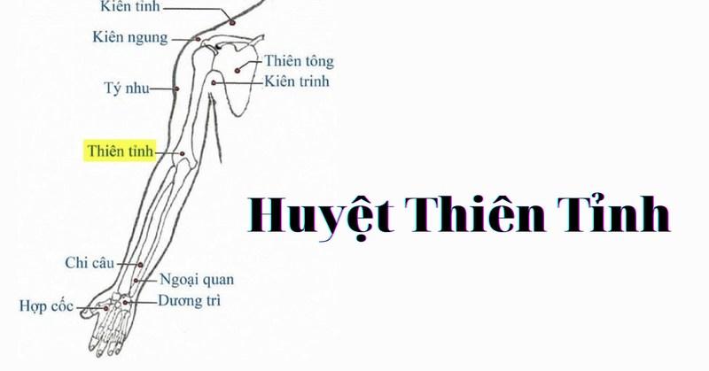 Huyệt Thiên Tỉnh nằm ở vị trí nào và có tác dụng gì? 1