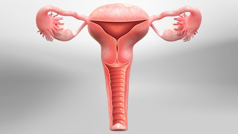 Hysterectomy là gì? 1