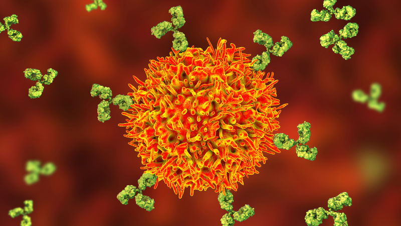 Immune system là gì? Hệ thống miễn dịch hoạt động như thế nào? 2