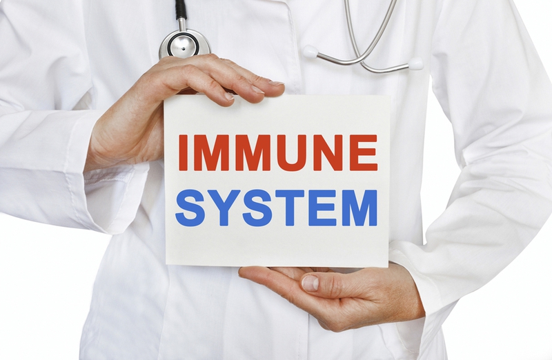 Immune system là gì? Lá chắn bảo vệ sức khỏe khỏi mọi tác nhân gây hại 1