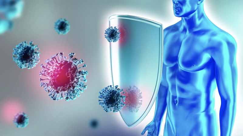 Immune system là gì? Lá chắn bảo vệ sức khỏe khỏi mọi tác nhân gây hại 2