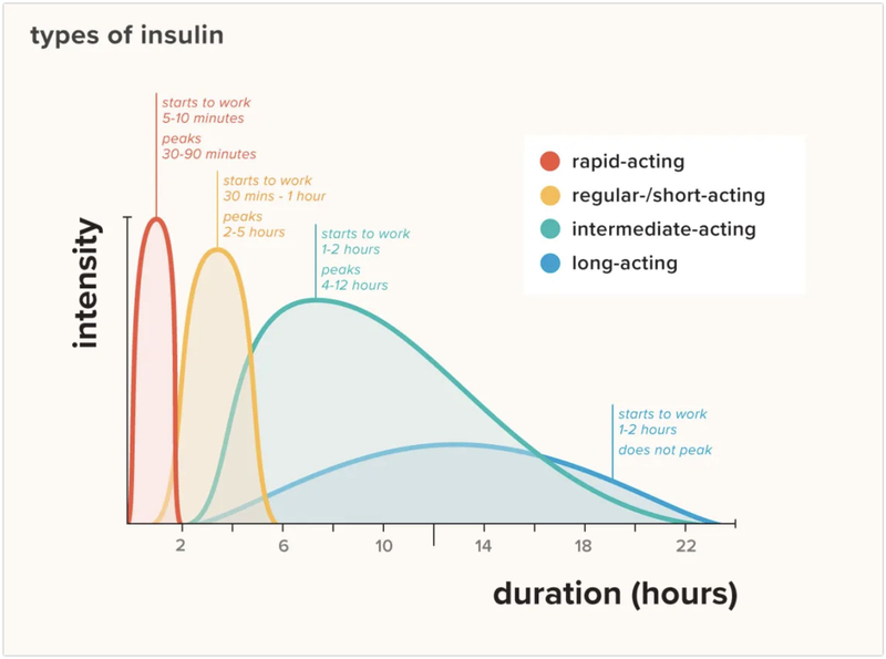 Insulin tác dụng ngắn là gì? 2