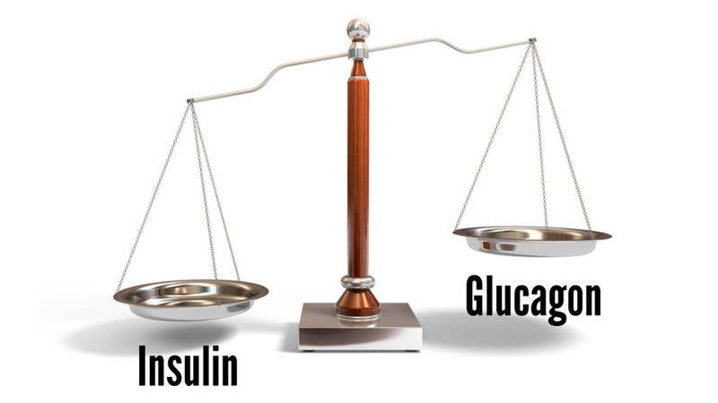 Insulin và glucagon cùng điều hòa đường huyết con người 0