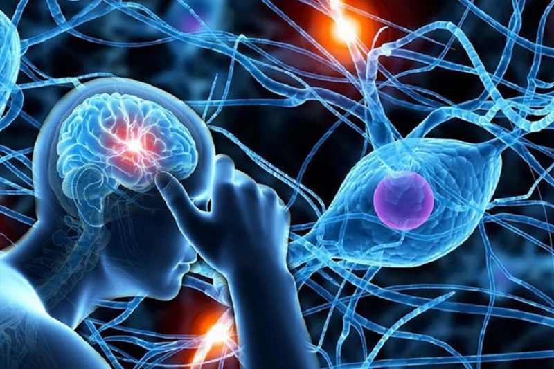 Khám thần kinh ở đâu là tốt nhất và khi nào nên khám thần kinh? 2