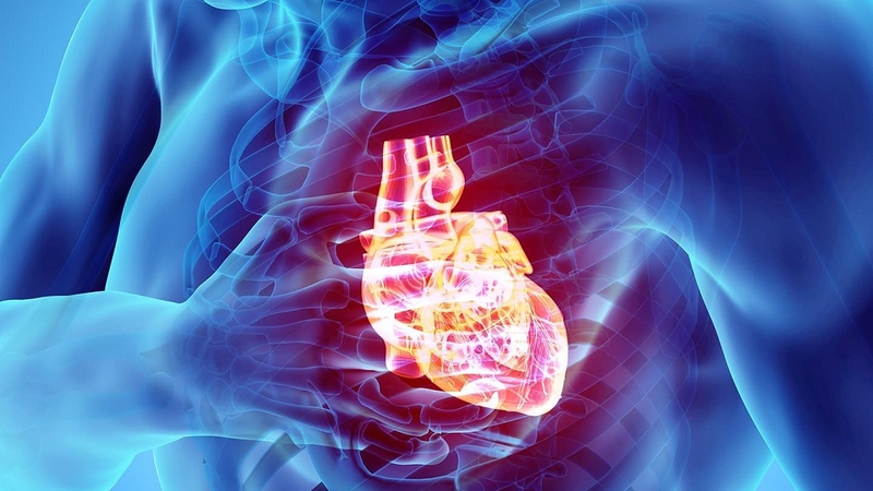 Khi nào cần siêu âm tim? Chú ý người bệnh nên biết khi thực hiện phương pháp siêu âm tim 1