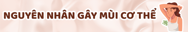 khu-mui-co-the-vinh-vien-nhung-cach-khu-mui-co-the-hieu-qua-heading1.png