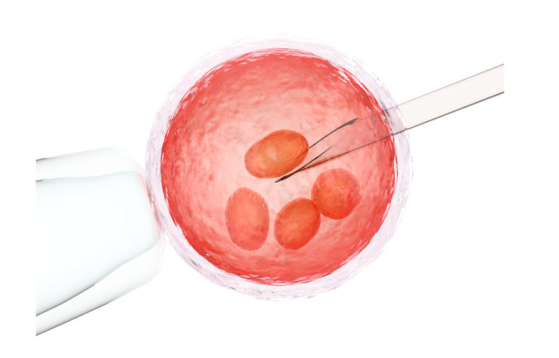 Tìm hiểu chi tiết về kỹ thuật gom trứng làm IVF 1